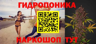 крисы Тулун