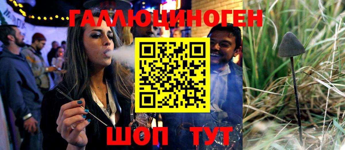 Нижнекамск  Галлюциногенные грибы Psilocybine cubensis  Вход с VPN 