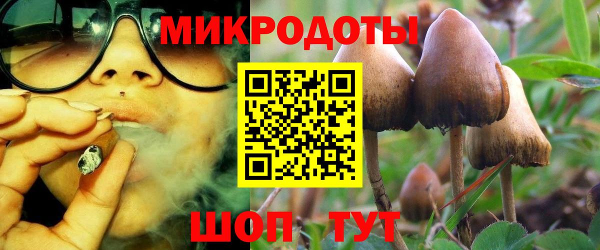 Галлюциногенные грибы GOLDEN TEACHER Нижнекамск